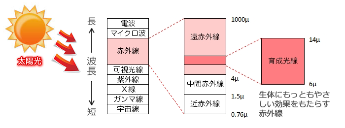 どんなチカラがあるの?